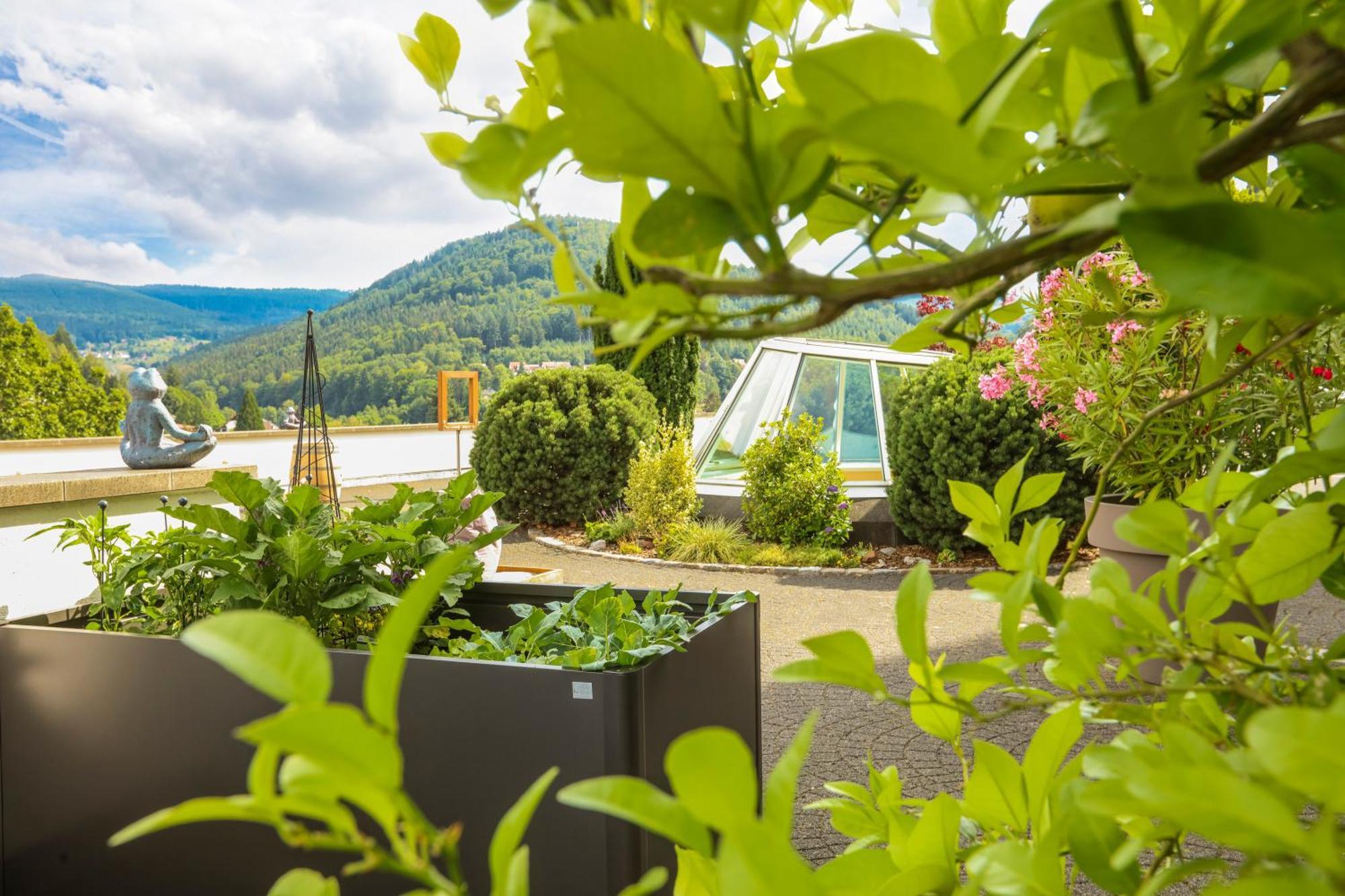 Schwarzwald Panorama Hotel Bad Herrenalb Exterior foto